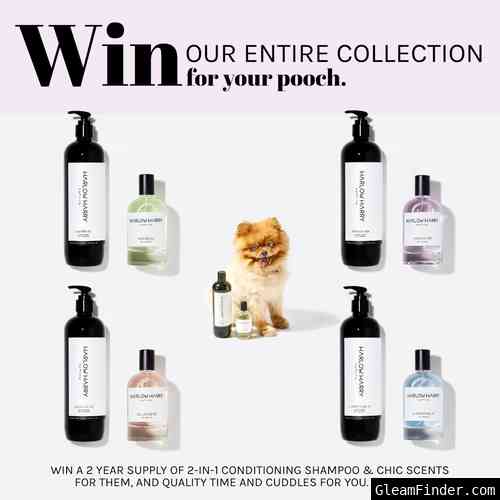 WIN HARLOW HARRY'S ENTIRE COLLECTION FOR YOUR POOCH