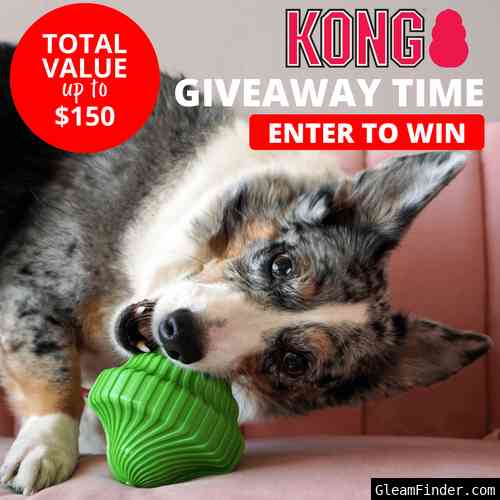 Lucky Pet KONG Giveaway November 2022