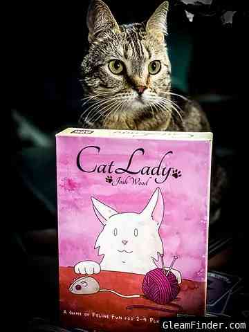 Pudgy Cat Games - Merry Cat-mas Celebration - Giveaway - Cat Lady
