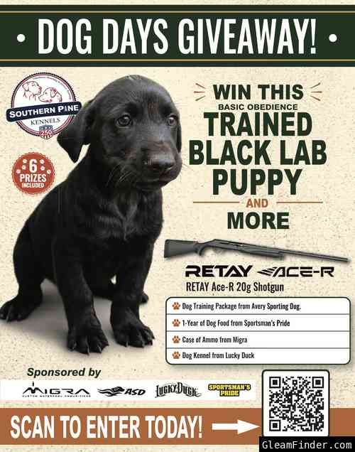 Dogs Days of Summer Giveaway