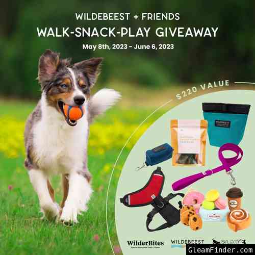 Wildebeest & Friends Walk-Snack-Play Giveaway