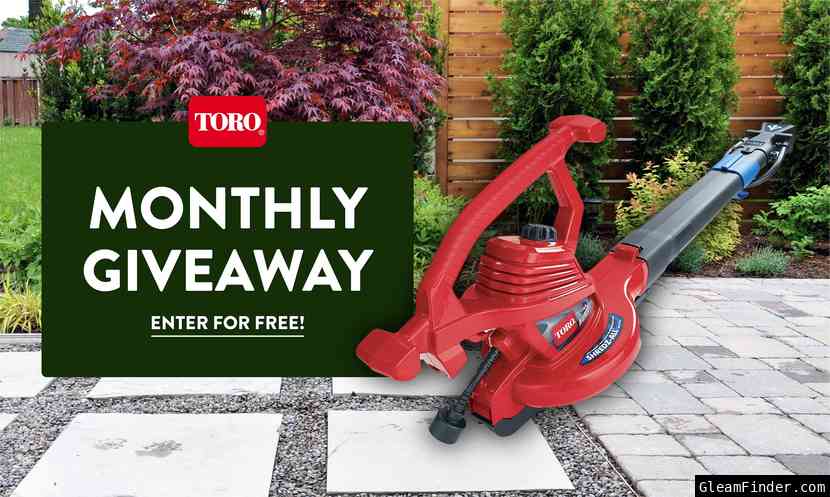 Electric Leaf Blower Giveaway