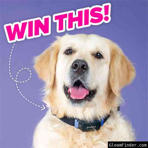 PetPace