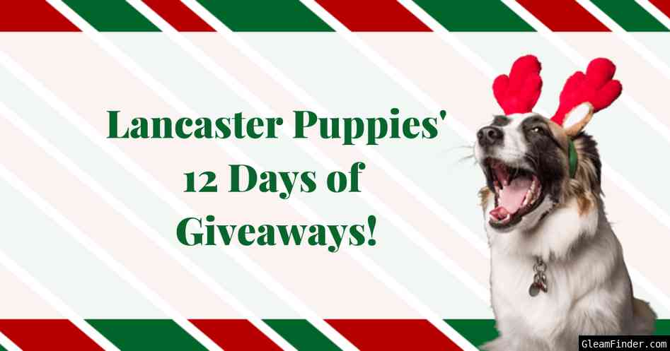 Lancaster Puppiesâ€™ 12 Days of Giveaways