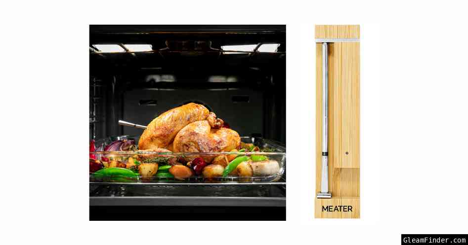 WIN! MEATER Pro smart meat thermometer 