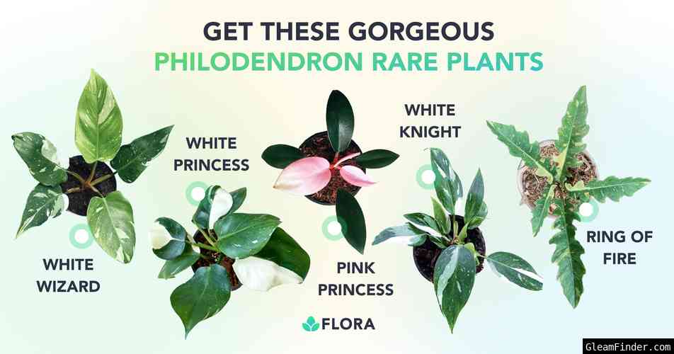 Flora - Rare Plant Giveaway