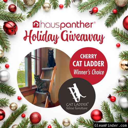 Hauspanther Holiday Giveaway 2023: Cherry Hardwood Cat Ladder