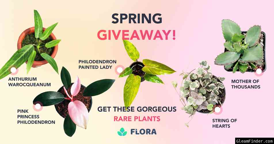 Spring Rare Plant Giveaway - $1500 Worth of Green Treasures!