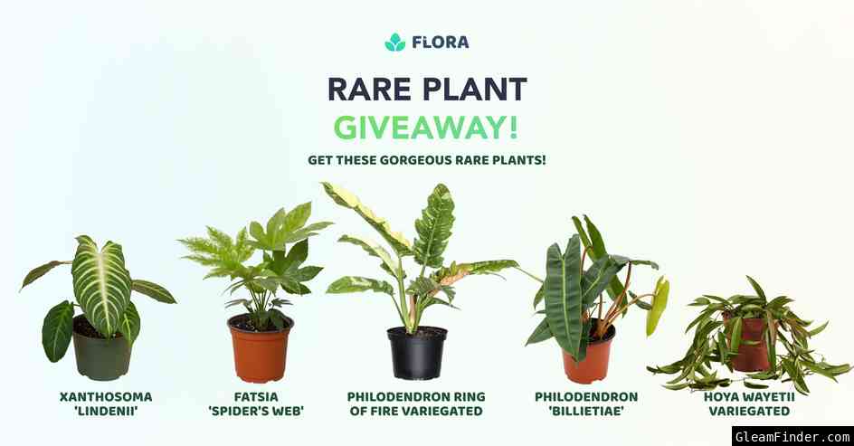 Flora July Rare Plant Giveaway - $1500 Worth of Green Treasures!