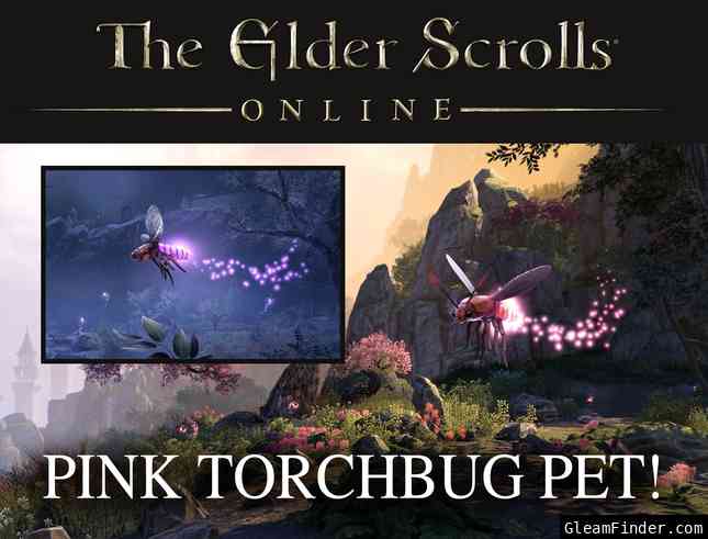 The Elder Scrolls Online: Pink Torchbug Pet! (All Consoles)